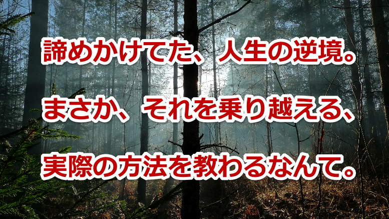 �N�l�m,���Ȍ[��,�Y�݉���,�ʐM�u��,�����@��,�l���N�w,���悢�������u��,�r�W�l�X�Z�~�i�[,�ґz���@,���K�̌��,���q�̕��@���_,�Ȋw�Ə@��,�鉤�w,�����d�b���k,���[�����k,����,���,���É�